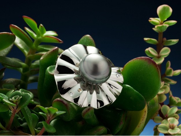  Isabelle Souppe for In Fine, ring "Au Fil de l'Eau" Baroque Tahitian pearl button 925iamants money on diamonds on yellow gold 